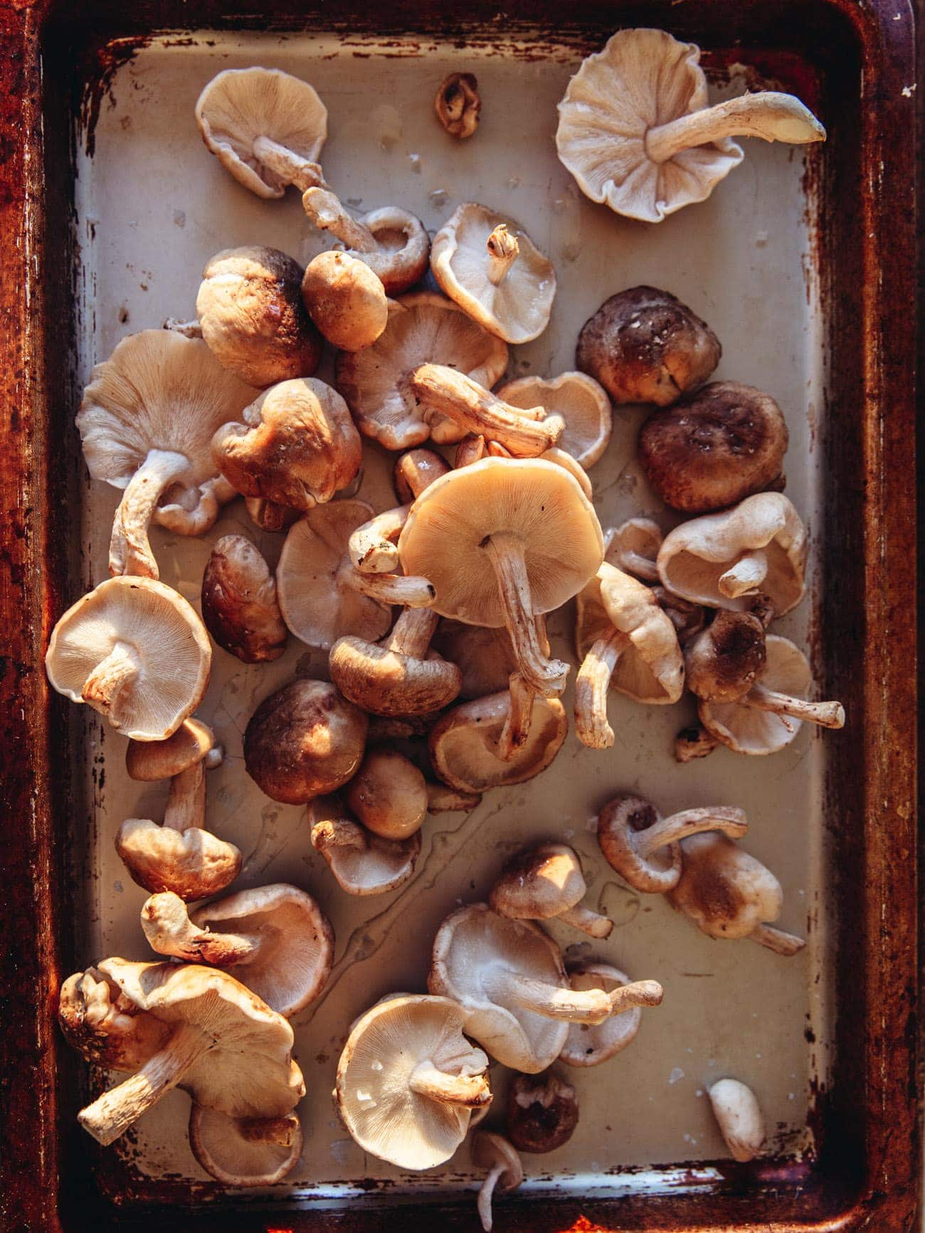 Celeriac Risotto with Roasted Mushrooms by Izy Hossack