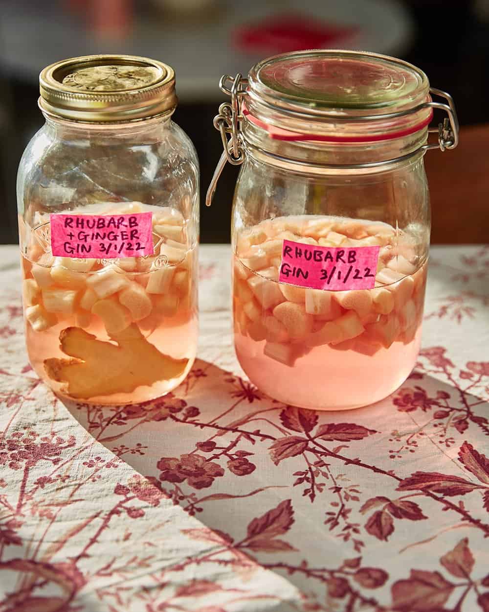 two jars of gin with chunks of rhubarb and ginger