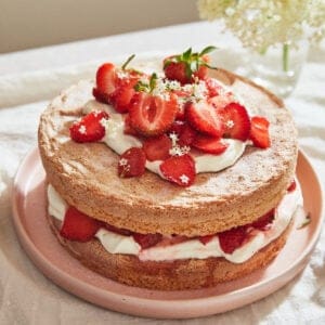 a strawberry sponge cake layered up with whipped cream and fresh berries on a pink plate